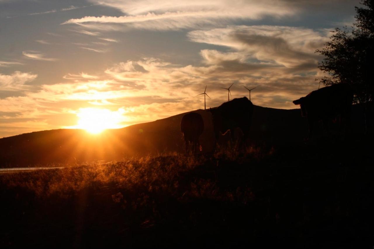 Casa Viade Hotell Montalegre Eksteriør bilde